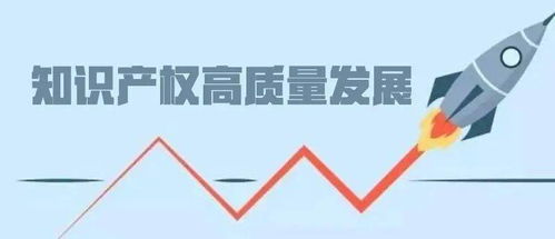 交出知識產(chǎn)權(quán)高質(zhì)量發(fā)展湖南答卷 打造創(chuàng)新高地，賦能產(chǎn)業(yè)未來